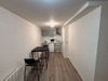 Ma-Cabane - Location Appartement ANNEMASSE, 19 m²