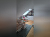Ma-Cabane - Location Appartement BESNE, 43 m²