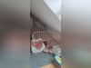 Ma-Cabane - Location Appartement BESNE, 43 m²