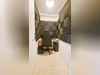 Ma-Cabane - Location Appartement BOULOGNE-BILLANCOURT, 48 m²