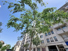Ma-Cabane - Location Appartement Bourg-la-Reine, 60 m²