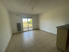 Ma-Cabane - Location Appartement CASTELNAU D ESTRETEFONDS, 55 m²