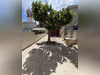 Ma-Cabane - Location Appartement Châteauneuf-les-Martigues, 73 m²