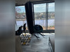 Ma-Cabane - Location Appartement CHERBOURG-OCTEVILLE, 50 m²