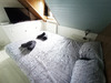 Ma-Cabane - Location Appartement CONCARNEAU, 30 m²