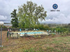 Ma-Cabane - Location Appartement Cosnac, 39 m²