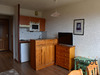 Ma-Cabane - Location Appartement Font-Romeu-Odeillo-Via, 21 m²