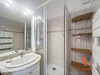 Ma-Cabane - Location Appartement Grenoble, 51 m²