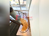 Ma-Cabane - Location Appartement GRENOBLE, 112 m²