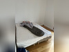 Ma-Cabane - Location Appartement ISSY-LES-MOULINEAUX, 105 m²