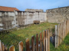 Ma-Cabane - Location Appartement JONZIEUX, 78 m²