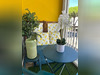 Ma-Cabane - Location Appartement La Grande-Motte, 21 m²