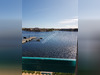 Ma-Cabane - Location Appartement LE BARCARES, 17 m²