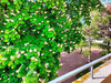 Ma-Cabane - Location Appartement Le Coteau, 58 m²