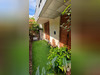 Ma-Cabane - Location Appartement LES ULIS, 28 m²