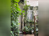 Ma-Cabane - Location Appartement Lille, 20 m²
