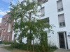 Ma-Cabane - Location Appartement LOMME, 101 m²