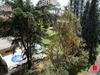 Ma-Cabane - Location Appartement Lyon 03, 93 m²