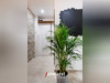 Ma-Cabane - Location Appartement LYON 8, 61 m²
