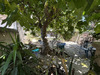 Ma-Cabane - Location Appartement Marseille, 40 m²