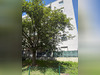 Ma-Cabane - Location Appartement METZ, 21 m²