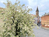 Ma-Cabane - Location Appartement MONTAUBAN, 22 m²