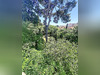 Ma-Cabane - Location Appartement MONTPELLIER, 25 m²