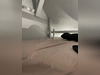 Ma-Cabane - Location Appartement MOULINS, 21 m²