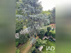 Ma-Cabane - Location Appartement Neuilly-sur-Seine, 46 m²
