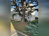 Ma-Cabane - Location Appartement NOISY-LE-GRAND, 55 m²