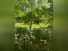 Ma-Cabane - Location Appartement NOISY-LE-GRAND, 80 m²