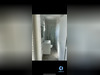 Ma-Cabane - Location Appartement Orsay, 15 m²