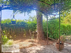 Ma-Cabane - Location Appartement Peypin-d'Aigues, 51 m²