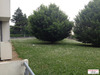 Ma-Cabane - Location Appartement POITIERS, 21 m²