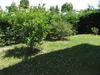 Ma-Cabane - Location Appartement RAMONVILLE-SAINT-AGNE, 59 m²