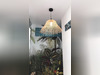 Ma-Cabane - Location Appartement Remire-Montjoly, 36 m²