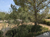 Ma-Cabane - Location Appartement Rodilhan, 21 m²