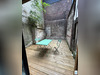 Ma-Cabane - Location Appartement ROUEN, 16 m²