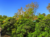 Ma-Cabane - Location Appartement SAINT-AVERTIN, 44 m²