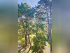 Ma-Cabane - Location Appartement SAINT-HERBLAIN, 82 m²