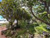 Ma-Cabane - Location Appartement SANTA-REPARATA-DI-BALAGNA, 55 m²