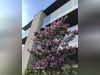 Ma-Cabane - Location Appartement SERIGNAN, 64 m²
