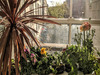 Ma-Cabane - Location Appartement SEVRES, 36 m²