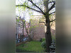 Ma-Cabane - Location Appartement TOULOUSE, 25 m²