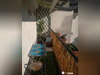 Ma-Cabane - Location Appartement Toulouse, 34 m²