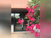 Ma-Cabane - Location Appartement Toulouse, 20 m²