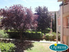 Ma-Cabane - Location Appartement TOULOUSE, 22 m²