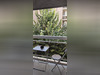 Ma-Cabane - Location Appartement VANVES, 20 m²