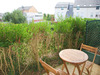 Ma-Cabane - Location Appartement VEZIN-LE-COQUET, 35 m²