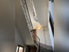 Ma-Cabane - Location Appartement VILLEURBANNE, 51 m²